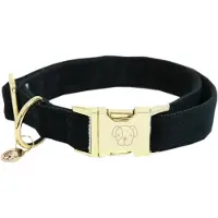 Kentucky Dogwear Corduroy Hundehalsband