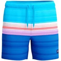 Speedo Herren Badeshorts 8-004842 (Better) Eng. Print Redondo Edge Volley 16