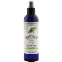 Laboratoire du Haut Segala Haut-Segala EAU Flor Ment Poi250Ml 250 ml Lösung