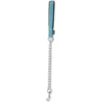 Martin sellier Klassische Nylon-Hundeleine mit Komfortgriff
