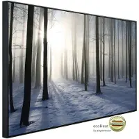 Papermoon Infrarotheizung »EcoHeat - Nebeliger Winterwald«, Matt-Effekt - bunt