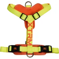 Nayeco X-trm Cronos Neon Flash Hundegeschirr