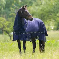 Hv Polo Nena