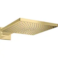 Hansgrohe 26239990 Kopfbrause Raindance E 300 1jet