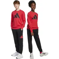 Adidas Trainingsanzug für Kinder Essentials