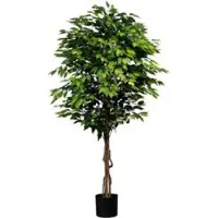 Pflanzen-Kölle Künstliche Birkenfeige 'Ficus benjamini', Höhe ca. 180 cm