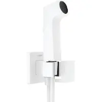 Hansgrohe 29231700 Handbrause Bidette E f.Kaltwasser