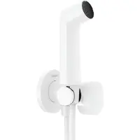 Hansgrohe 29230700 Handbrause Bidette S f.Kaltwasser