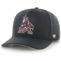 47 Nhl Arizona Coyotes Cold Zone Mvp Dp Kappe
