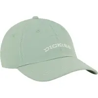 Dickies Wilsall Kappe