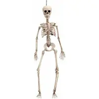 MOM Skelett 120 Cm