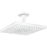 Hansgrohe 26251700 Handbrause Raindance E 300