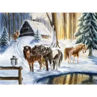 Coppenrath Verlag Wandkalender Winterpferde