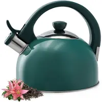 Kadax Induktionskessel Gas mit Pfeife 1,7 l traditionell