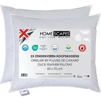 Homescapes KOPFKISSEN 60/70 cm, 2er-Set Federkissen mittelweich