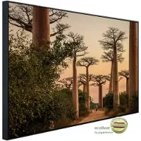 Papermoon Infrarotheizung »EcoHeat - Wald«, Matt-Effekt - bunt