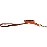Kentucky Nylon Plaited Führleine 12 Mm