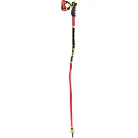 LEKI Wcr Gs Carbon 3d Stöcke