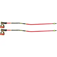 LEKI Wcr Gs Carbon 3d Stöcke