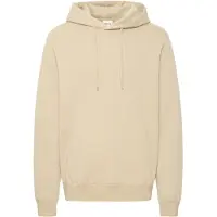 Solid Hoodie Nickolas