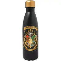 Erik Editores Harry Potter Hogwarts 500ml Hot & Cold Flasche