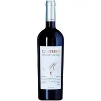 Caliterra Edicion Limitada M 2019 0,75l
