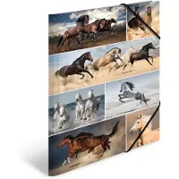Herma Sammelmappe