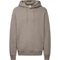 Solid Hoodie Nickolas