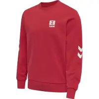 Hummel Sweatshirt hmlLGC graham