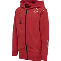 Hummel Hoodie Kinder Lead Poly