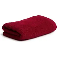 Möve Handtücher "Superwuschel", (1 St.), Handtuch mit Bordüre, 100% Premium Cotton Baumwolle, einfarbig, weich