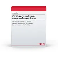 Heel Crataegus Injeel Ampullen 10 St
