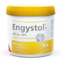 Heel Engystol T ad us.vet.Tabletten 500 St