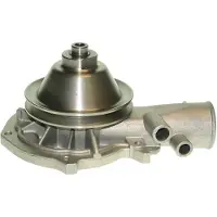 Saleri SIL Wasserpumpe PA575P