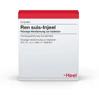 Heel REN suis Injeel Ampullen 100 St