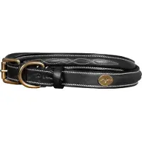 Dyon Fancy Hundehalsband