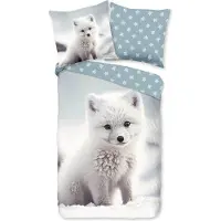 TRAUMSCHLAF Polarfuchs