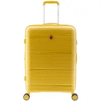 Gladiator 0800 4 Rollen Trolley 65 cm mit Dehnfalte