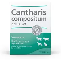 Heel Cantharis Compositum ad us.vet.Ampullen 5 St