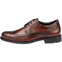 Lloyd Tampico 24-625-02 (8.5/brandy)