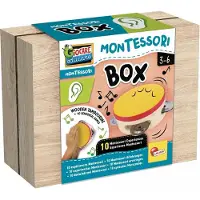 Liscianigiochi Montessori Box Hearing