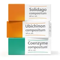 Heel Solidago+ Ubichinon+ Coenzyme ad us vet 1 Set