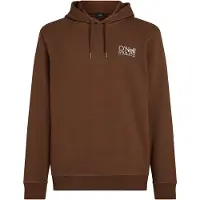 O'Neill Original Cali Logo Hoodie Hazel Spice Größe: S | Kaputzenpullis Outlet | Herren