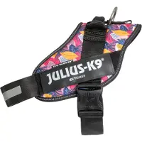Julius-K9 Limited Edition IDC Powerharness, Leaf 2 - Größe XL/2: Brustumfang 71 - 96 cm