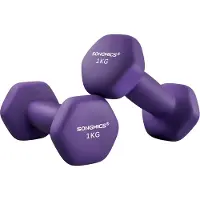 Songmics Kurzhanteln 2er-Set lila SYL902P02