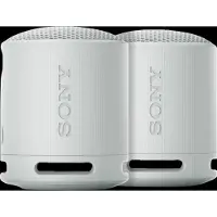 Sony SRS-XB100 Doppelpack Grau