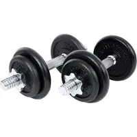 Songmics Hanteln aus Gusseisen SYL40T