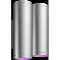 Philips Hue Appear Wandleuchte White & Color - Edelstahl Doppelpack