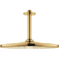 GROHE Rainshower Mono 310, Gold, 1 Stück(e)