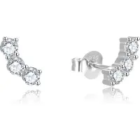 Beneto Silver longitudinal earrings with clear crystals AGUP2703 (L)